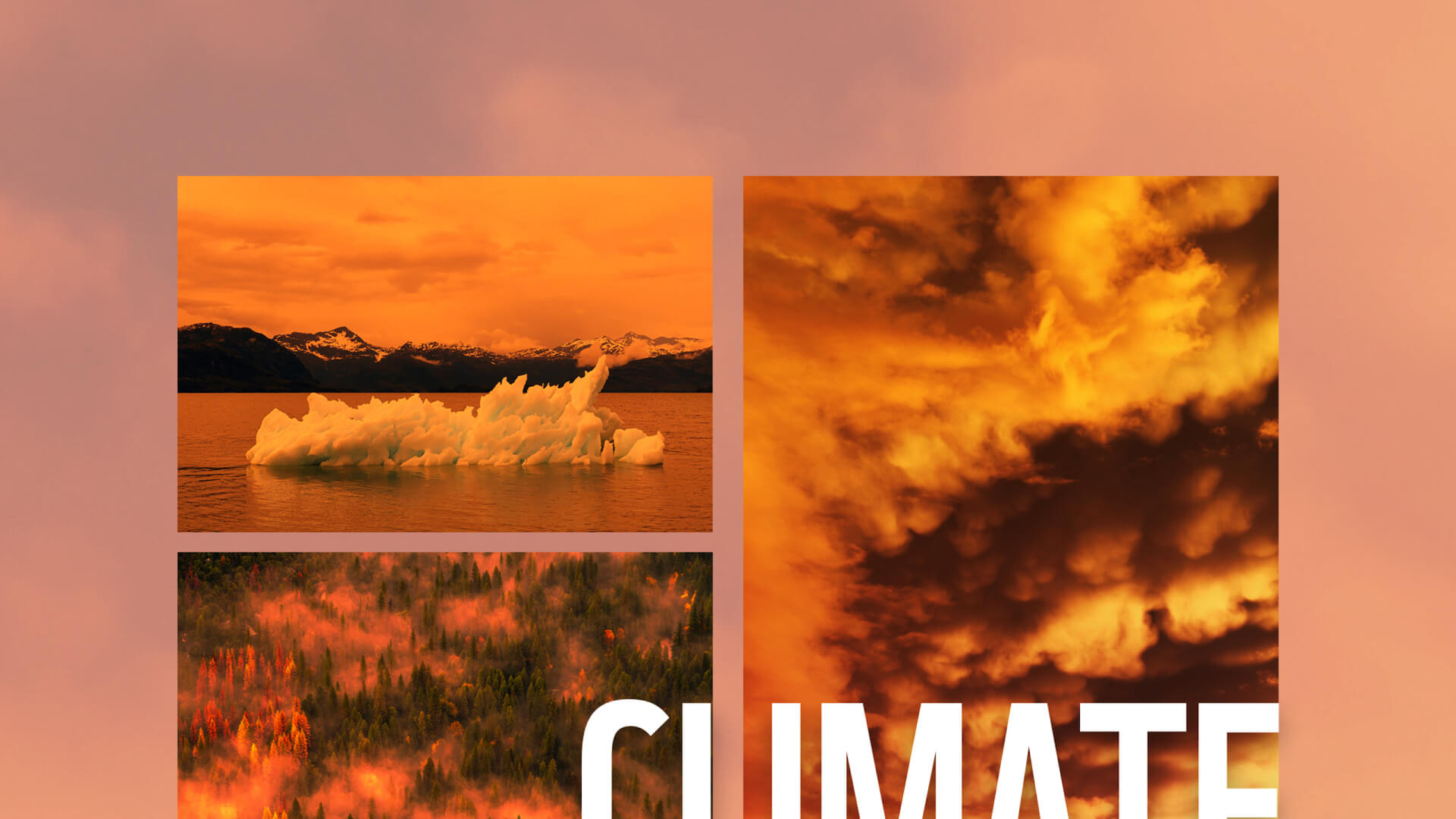 Cambiamenti-climatici-infografica-2