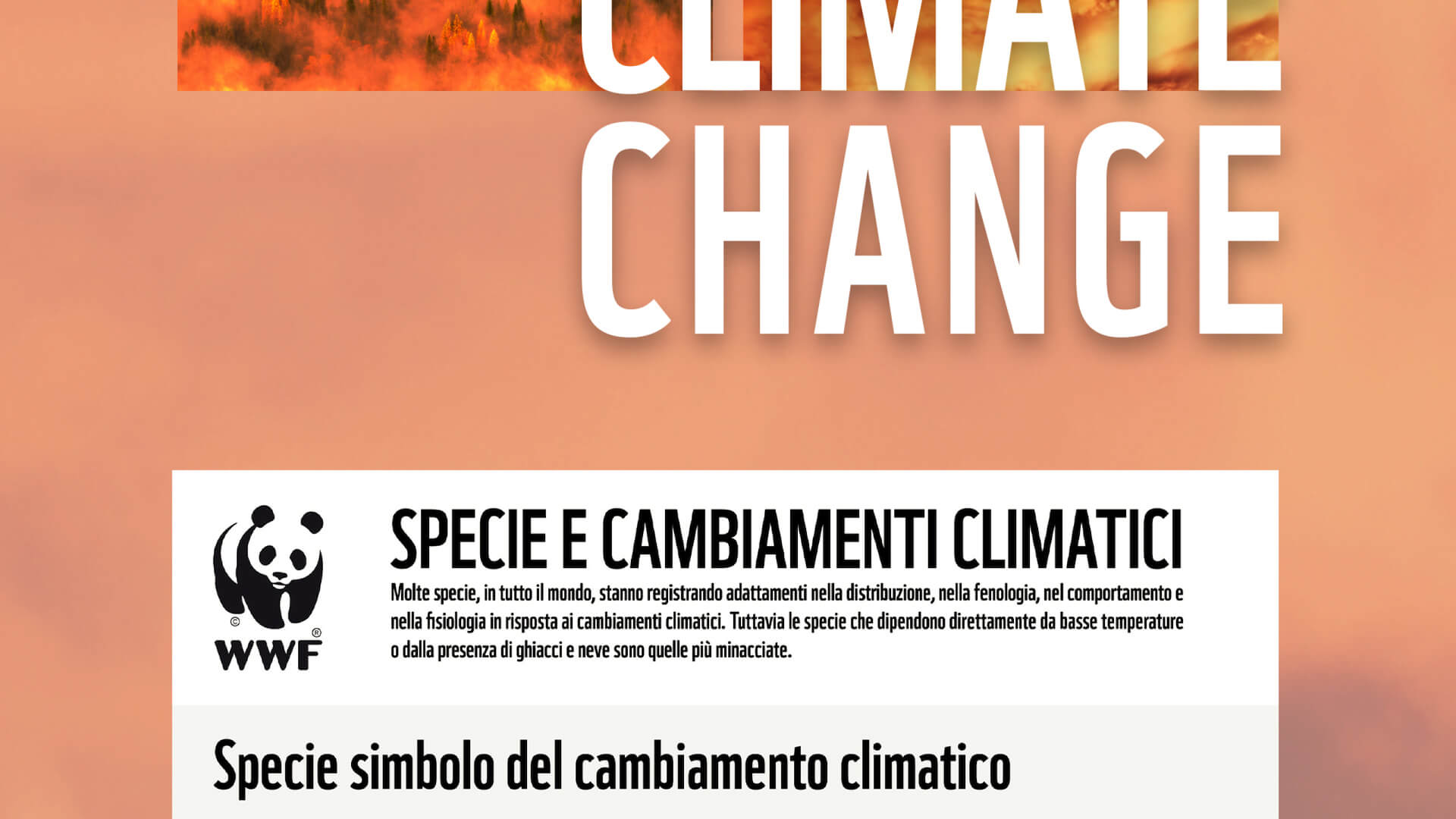 Cambiamenti-climatici-infografica-3