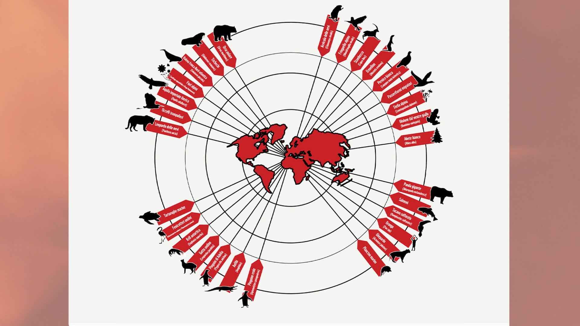 Cambiamenti-climatici-infografica-4