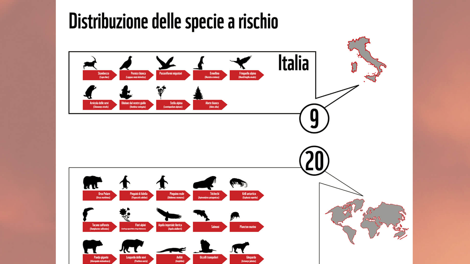 Cambiamenti-climatici-infografica-5