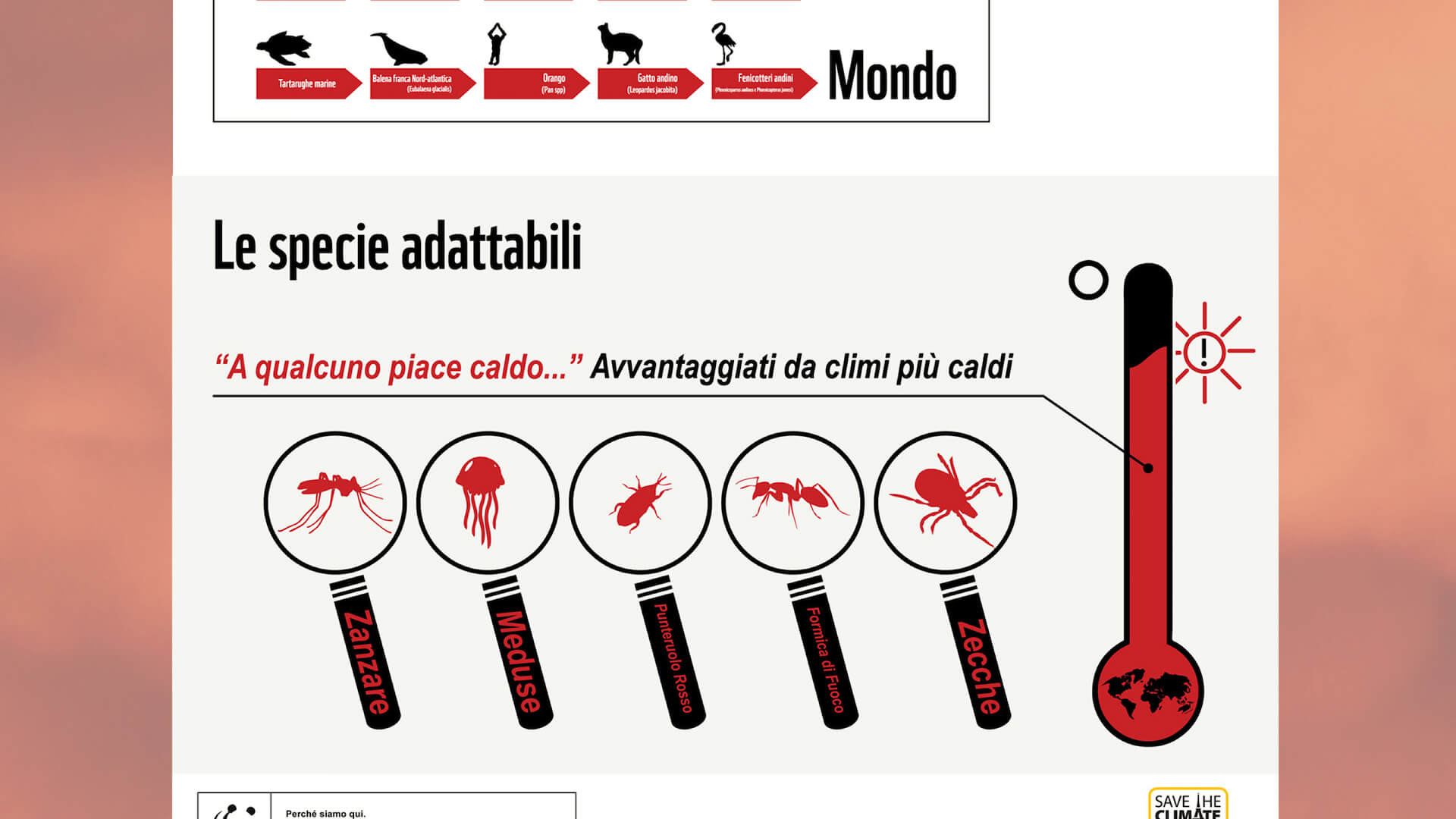 Cambiamenti-climatici-infografica-6